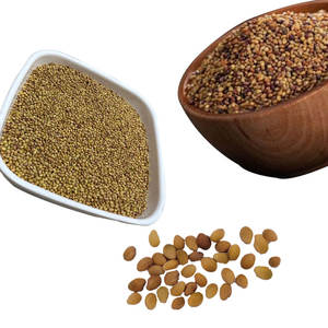 Berseem Clover | Cultivo listo para cultivar para ganado - Product Image 3