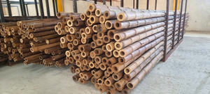 Postes de bambú secos de Vietnam para uso en jardín-Asequible y duradero - Product Image 2