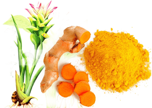 Polvo de cúrcuma de calidad premium de Vietnam, alto contenido de curcumina, color rico y sabor - Product Image 3