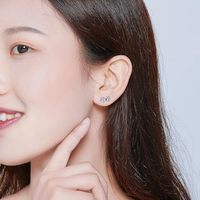 Boucles d'oreilles clous en argent sterling 925 motif patte de chat pour femme, bijoux animaux mignons en gros pour les amoureux des animaux