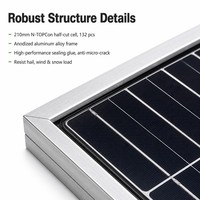 Module solaire Tongwei TWMHF-66HD 715W-725W N-Type TOPCon bifacial à double vitrage demi-cellule