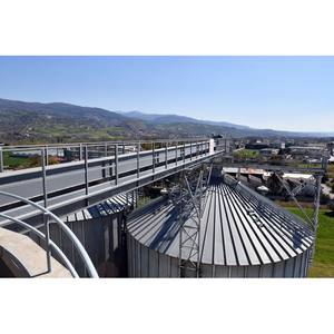 Harina de Trigo Italiana de Primera Calidad 'A Pietra' Molido en Piedra, Bolsa de 25 kg para Pizza, Pan, Bollos, Pasteles, Repostería, Venta al por Mayor - Product Image 5