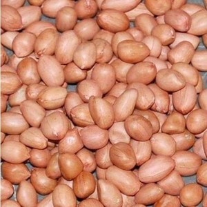 Arachides fraîches biologiques crues séchées saveur originale arôme lacté sac de 25 kg prix de gros à vendre - Product Image 1