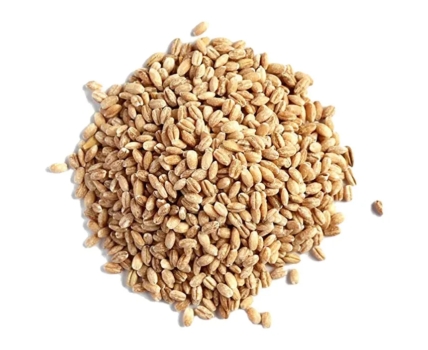 Harina de trigo para alimentación Animal, para ganado, para aves de corral, rico en proteína