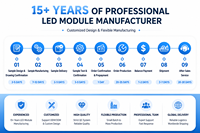 Fournisseur professionnel 245W 385nm 395nm 405nm 48*33mm 15-18W/cm2 LED UVA Module UV LED Array COB LED Chip Module pour le durcissement UV