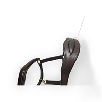 Bridon et étrier de cheval en cuir de haute qualité, style selle Awaisi, pour l'extérieur, fabrication OEM/ODM acceptée, personnalisation possible