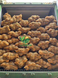 Noix de coco semi-décortiquée de qualité supérieure-Emballage en vrac pour l'exportation-Produit chaud du mois au Vietnam par VIET THIEN PHU - Product Image 6