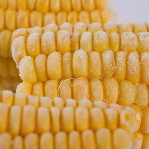Vente en gros Délicieux MAÏS STICKY CONGELÉ SUR ÉPI de qualité internationale fabriqué au Vietnam 1kg - Product Image 5