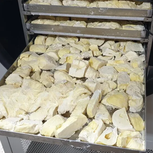 Durian lyophilisé de haute qualité Fournisseur du Vietnam pour les clients du monde entier - Product Image 6