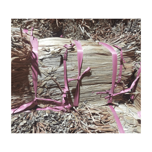 PRODUCTO SUPERIOR: JACINTO DE AGUA SECO DE VIETNAM, PRODUCTO AGRÍCOLA AL MEJOR PRECIO - Product Image 6