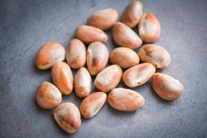 High-quality Jackfruit <b>Nut</b> Rich in Organic Health Care Supplement Organic Jackfruit <b>Nut</b> - Product Image 5