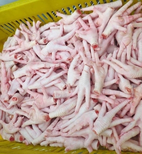 Precio Bajo de Patas de Pollo Halal Congeladas, Precio al por Mayor para Patas de Pollo - Product Image 6
