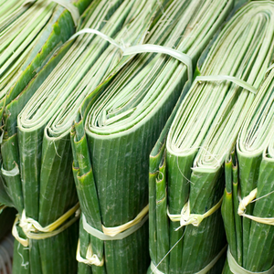 Feuilles de bananier bio surgelées pour l'emballage alimentaire et la cuisine, prix bas, 100% feuilles de bananier fraîches - Product Image 3