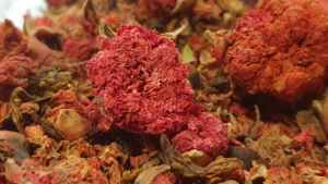 2024 al por mayor 100% naturales flores secas a granel de alta calidad material Granada flores secas fragancia natural de alta calidad - Product Image 4