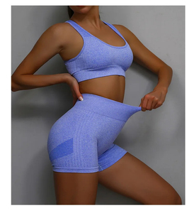 Wholesale Custom logo 2pcs Yoga Sets Womens Outfits Sports <b>Bra</b> Quick Drying Shorts Set Female - Product Image 3