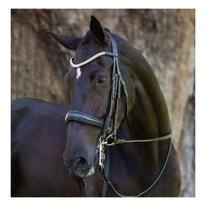 Arroz multifuncional de temporada, - Product Image 2