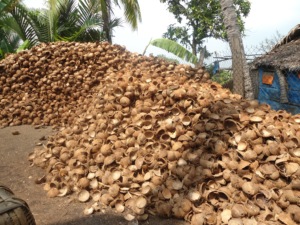เปลือกมะพร้าวดิบธรรมชาติสำหรับโรงงานถ่านไม้สำหรับช่างฝีมือของตกแต่งบ้านและงานฝีมือส่งออกจากเวียดนาม - Product Image 6