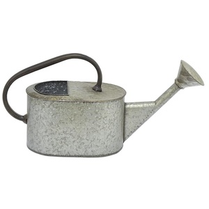 Regadera Moderna Beige con Mango Ergonómico Acanalado y Boquilla Extra Larga para un Riego Preciso de Plantas de Interior - Product Image 3