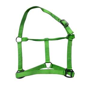 Accesorios de Hierro Cromado de Alta Resistencia, Cabestro de Nailon para Caballos, Cinta de PP, Brida, Equipo Ecuestre al por Mayor, Todos los Colores al Mejor Precio - Product Image 1