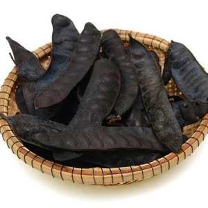 ราคาที่ดีที่สุดสำหรับตัวเลือกชั้นนำจากประเทศเวียดนาม // Premium Gleditsia sinensis // 100% ธรรมชาติ // ดีต่อสุขภาพ - Product Image 1