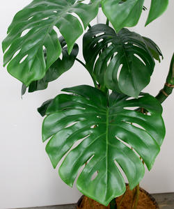 Gran sala de estar al aire libre decoración de pared de techo de boda plantas artificiales y vegetación para un diseño elegante del hogar - Product Image 3