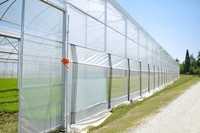 Serre de tomate à faible coût Film plastique multi-travée Serre en dents de scie Fabrication Fournisseur Serre avec système hydroponique