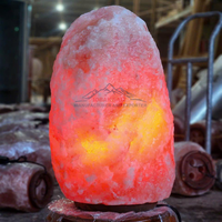 Lampes de table en sel de l'Himalaya naturel de 100 kg et 300 kg, qualité supérieure, toucher réel, purificateur d'air, Feng Shui, fabrication directe JOBAK