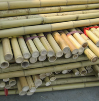 Poteau en bambou naturel solide du Vietnam pour la décoration intérieure et extérieure-bon marché écologique à faible taxe