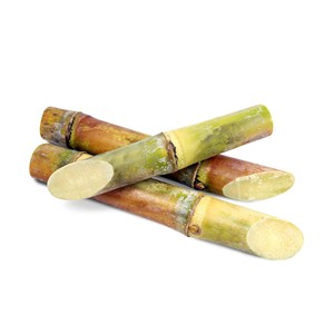 Bâtons de canne à sucre de qualité supérieure Farm frais et juteux - Product Image 3