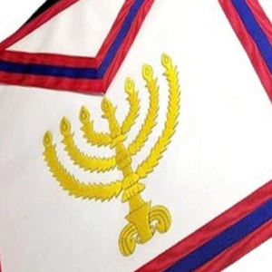 Nous avons fait sur mesure à la main broderie artisanat maçonnique tablier en cuir belle insignes vacances décoration cadeau - Product Image 2