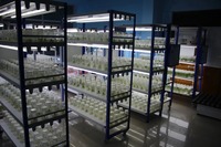 Étagère de stockage industrielle en acier inoxydable pour laboratoire de culture cellulaire, pour salles de culture, 4 niveaux ETCR-4R