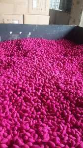 INCIENSO DE CONO DE COLOR tamaño personalizado y fabricante de humo de reflujo de color de incienso crudo - Product Image 4