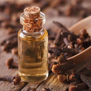 Aceite esencial de extracto de brote de clavo terapéutico, aceite de brote de clavo de Indonesia con eugenol para el dolor de muelas, precio al por mayor a granel - Product Image 1