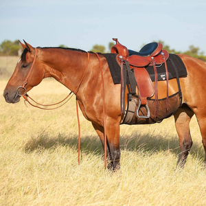 ที่คลุมป้องกันหน้าท้องม้าขี่ม้าตาข่ายระบายอากาศแมลงกัดต่อยอุปกรณ์ป้องกันหน้าท้อง - Product Image 2