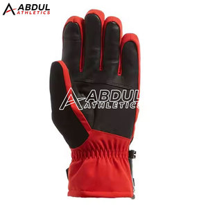 Gants de ski imperméables pour hommes, gants de snowboard thermiques isolés, logo personnalisé, approvisionnement OEM - Product Image 4