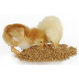 Enzimas Alimenticias Nutracéuticas con Ácido Fitógeno B-Hot para Aves de Corral con Resistencia Intestinal-Gastrointestinal - Product Image 2