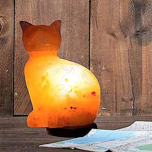Best Price <b>Cat</b> Shape Salt Lamp <b>Top</b> Selling Custom Shape Salt Lamp Latest Style New Arrival <b>Cat</b> Shape Salt Lamp - Product Image 6