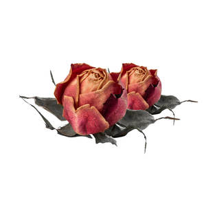 Fleur de rose rouge séchée | Parfum doux | Vente en gros - Product Image 1