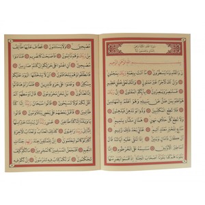 020-a Little Bit of Fun, Libros de Cartón con Cubierta Divertida e Impresión a 2 Colores, Disponibles para Todas las Edades - Product Image 2