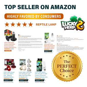 Bombillas halógenas para reptiles lámpara de calor profundo para reptiles, de 80 vatios, 100 vatios, 160 vatios, uvb, mvb - Product Image 5