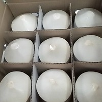 Coco Fresco Rico en Proteínas, Volumen de 250 a 300 ml por Pieza, Cocos Jóvenes Frescos con Forma de Diamante o Forma Pulida