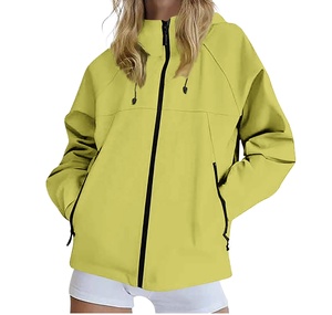 Pure Color 100% Polyester Custom Logo Quarter Zip Pullover <b>Ladies</b> Wholesale Oversize Nylon Waterproof Women - Product Image 1