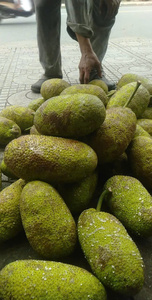 Rebanadas de fruta de pan congelada IQF de Vietnam Ingrediente versátil para cocina asiática y caribeña disponible a granel - Product Image 3