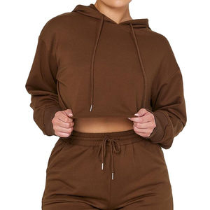 Vente en gros de sweat à capuche à manches longues en coton brut et pantalon de jogging ensemble costume marron décontracté 2 pièces ensemble à capuche pour femmes 2026 - Product Image 1