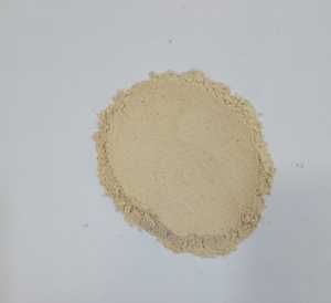 Super Premium Quality 100% Natural Whole Bulk Dry Mango Powder (Amchur) para la fabricación de alimentos Categoría de verduras secas - Product Image 1