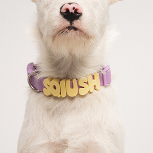 Accesorios para Perros, Nuevo Diseño de Fábrica, Collar y Correa para Perro DIY, Silicona de Grado Alimenticio, Collar Personalizado Impermeable con Dijes - Product Image 3