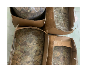 Feuilles de corossol séchées du Vietnam de haute qualité, feuilles de corossol séchées sélectionnées, vente en gros en vrac auprès d'un fournisseur de feuilles de corossol séchées de confiance - Product Image 4