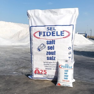 Sal de Mesa Refinada y Yodada Fidele en Polvo 1 kg Grado Alimenticio - Product Image 2