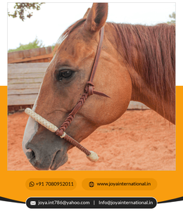 Se puede utilizar para reducir el peso - Product Image 5