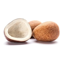 Grosir Kelapa Kering AD Sun Dried Utuh / Kelapa Kopra Putih - 5% Kadar Air, Umur Simpan 12 Bulan, Harga Ekspor Kompetitif